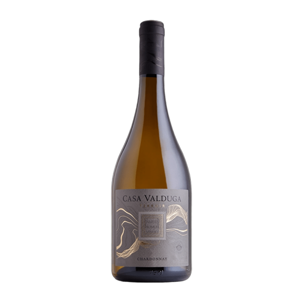 Vinho Terroir Chardonnay Branco Seco Casa Valduga 750ml