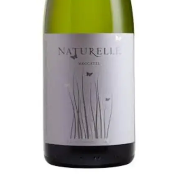Espumante Naturelle Moscatel Casa Valduga 750ml - Image 2